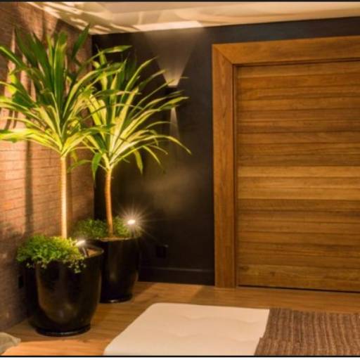 Portas de Madeira  por Madri Portas, Batentes, Acessórios e Móveis de Madeira Rústica