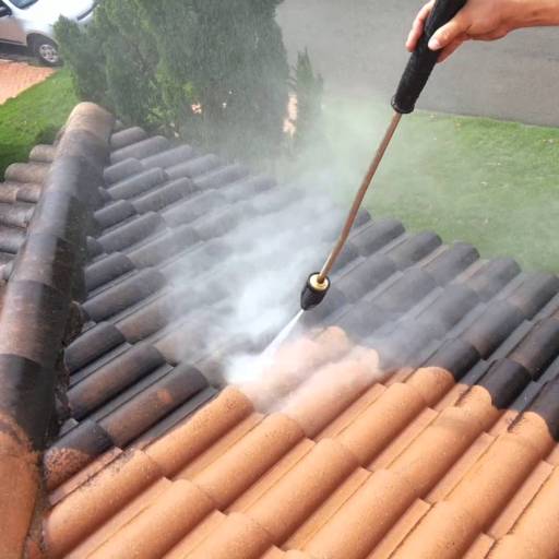 Lavagem Telhado por Art’s Calhas e Calçadas