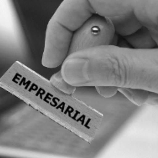 Seguro para sua empresa - Seguro Empresarial