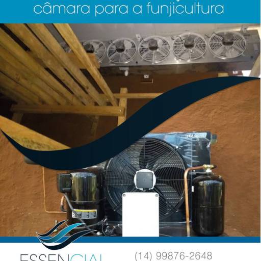 Comprar o produto de Instalação e montagem de câmara para funjicultura em Outros Serviços pela empresa Essencial Ar Condicionado e Climatização em Bauru, SP por Solutudo