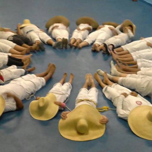 Aulas de Capoeira por Ubirajara Luis - Bira Personal Trainer