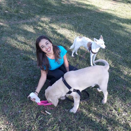 Dog Walker - Passeadora de Cães por Vi dos Pets