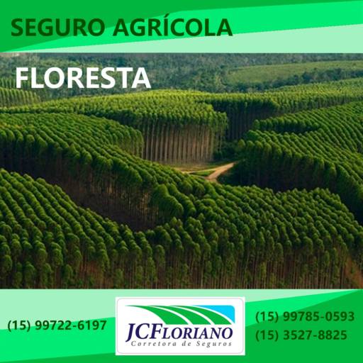 Seguro Floresta por JC Floriano - Corretora de Seguros