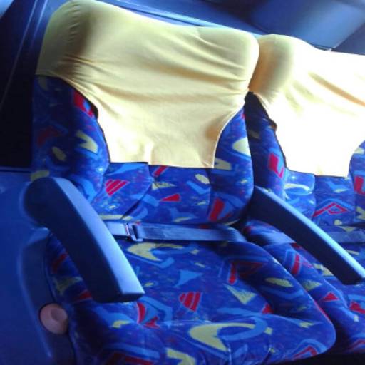 Ônibus Executivo - 46 lugares por Barreto Turismo