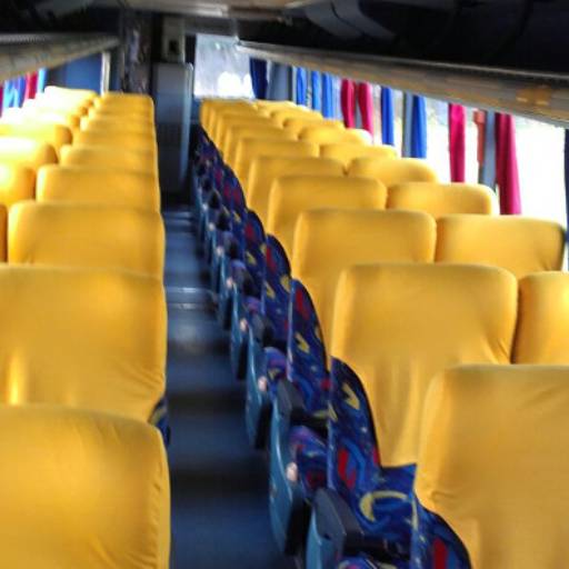 Ônibus Executivo - 46 lugares por Barreto Turismo