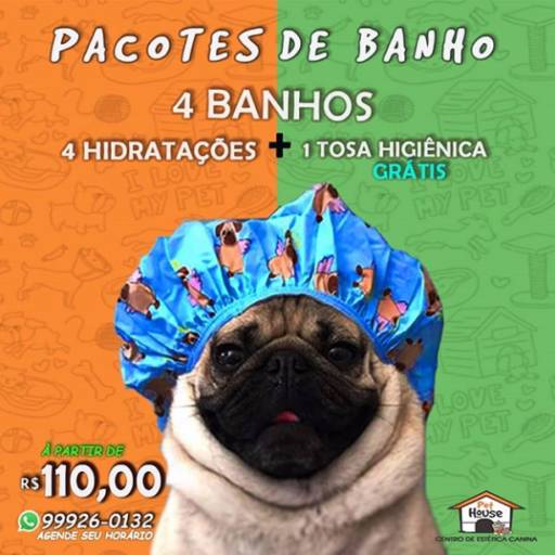 Comprar o produto de Pacotes de banho em Animais pela empresa Pet House em Aracaju, SE por Solutudo