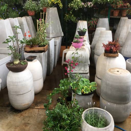 Comprar o produto de Vasos de Cimento em Vasos para Plantas pela empresa Dujardim em Itapetininga, SP por Solutudo
