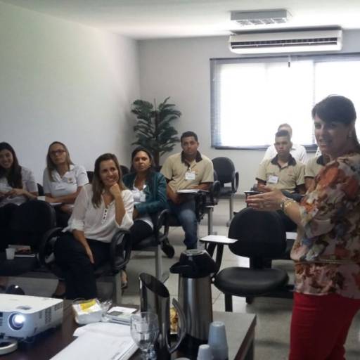 Coaching de Equipe por Rosa Perrella - Desenvolvendo Pessoas e Organizações