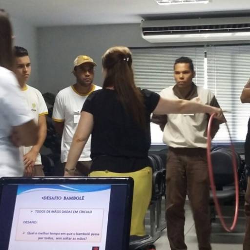 Coaching de Equipe por Rosa Perrella - Desenvolvendo Pessoas e Organizações