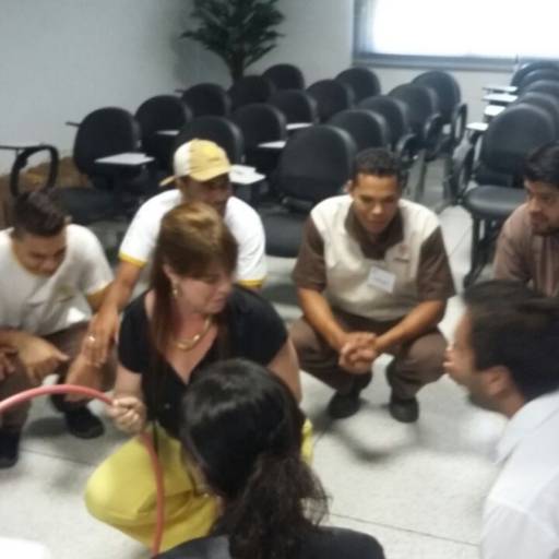 Coaching de Equipe por Rosa Perrella - Desenvolvendo Pessoas e Organizações