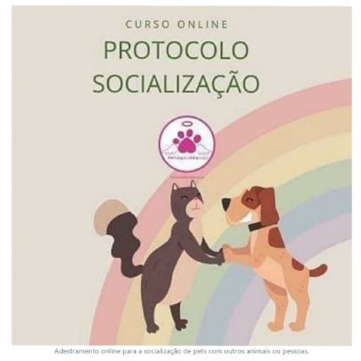 Adestramento Online para Socialização de Pets com Outros Animais ou Pessoas por DesCãoplica por Vanessa Mendes | Bióloga Comportamental