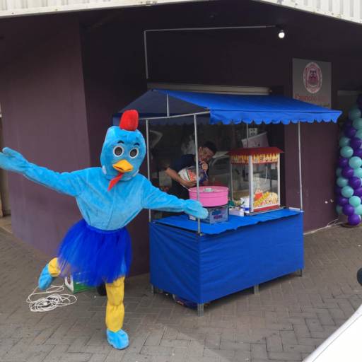 Fantasias / Animadores por Assis Kids Park