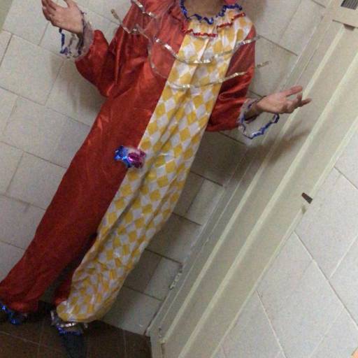 Fantasias / Animadores por Assis Kids Park