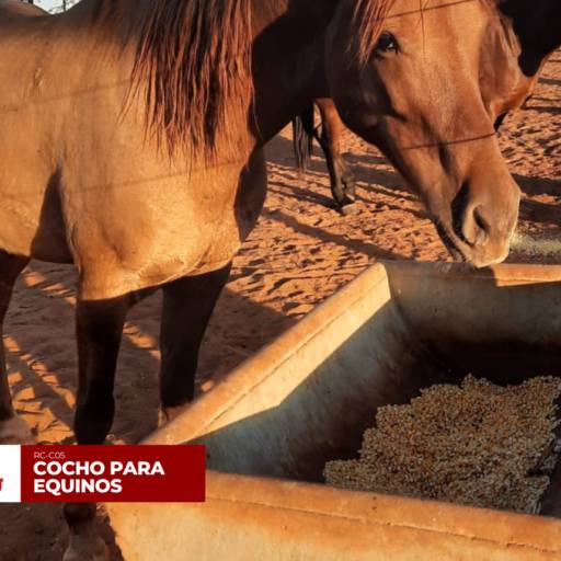 Cocho para Equinos em Birigui, SP por Rondon Cochos  Artefatos de Cimentos