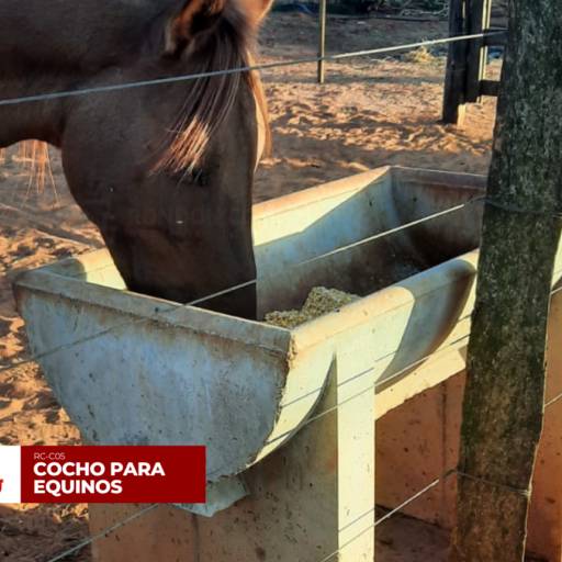 Cocho para Equinos em Birigui, SP por Rondon Cochos  Artefatos de Cimentos