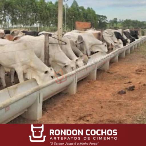 Cocho P Confinamento Modelo J por Rondon Cochos Araçatuba