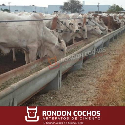 Cocho P Confinamento Modelo J por Rondon Cochos Araçatuba