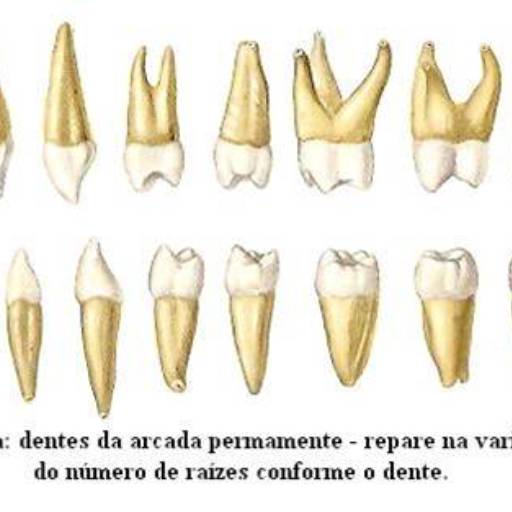 Tratamento dentário por Sartori Odontologia CR0-SP 19464 - RT: Patrícia Sartori CR0 106940