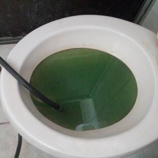 Desentupimento de Vaso Sanitário