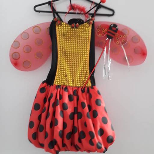 Fantasia Infantil Feminina por Adagio Confecções