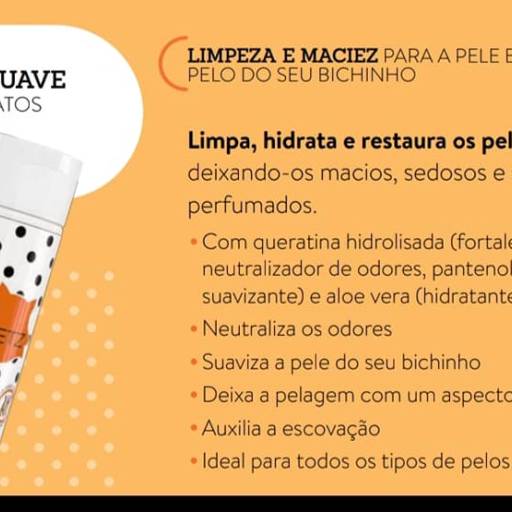 DooPetz por Centro de Distribuição Racco