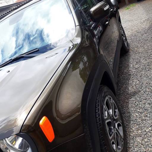 Limpeza Renegate por StetyCar Estacionamento & Estética Automotiva