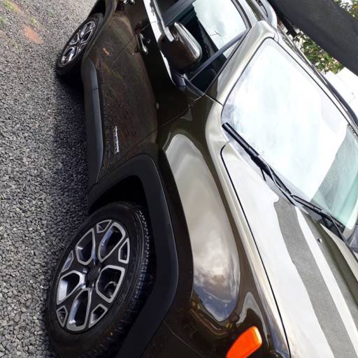 Limpeza Renegate por StetyCar Estacionamento & Estética Automotiva
