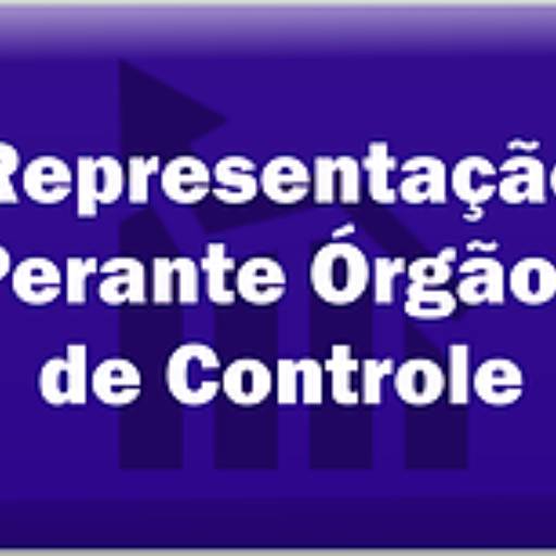Representação perante órgãos de controle 