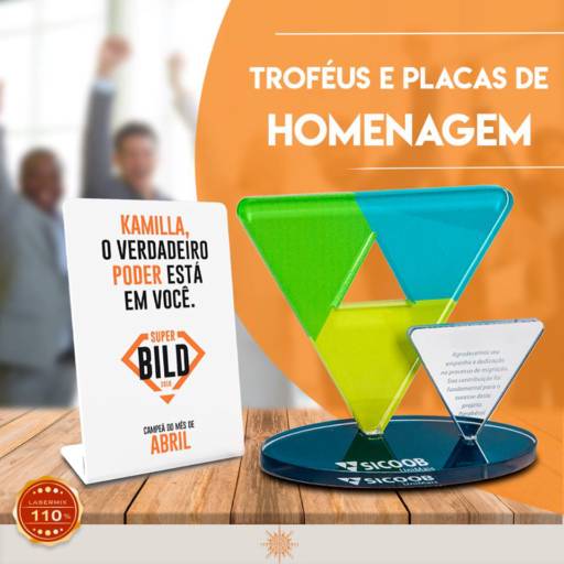 Comprar o produto de Troféus e Placas de Homenagem  em Personalizados pela empresa Lasermix Acrílicos em Bauru, SP por Solutudo