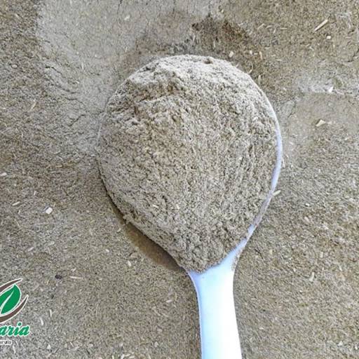 Ora-Pro-Nóbis Pó por Mercearia Alimentos Naturais