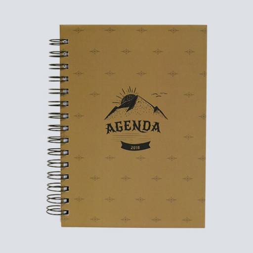 Agenda Coleções - 1 dia por página  por Dagra Soluções Gráficas 