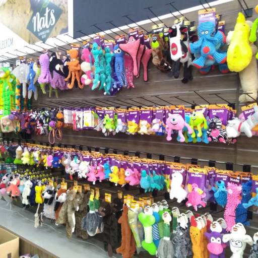 Comprar o produto de Brinquedos em Pet Shop pela empresa Igui Rações Birigui em Birigui, SP por Solutudo