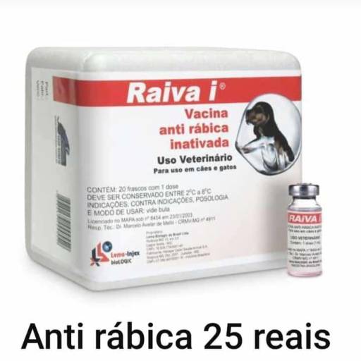 Comprar o produto de Vacina Anti Rábica  em A Classificar pela empresa Edson Marcelino Veterinário 24 horas em Botucatu, SP por Solutudo