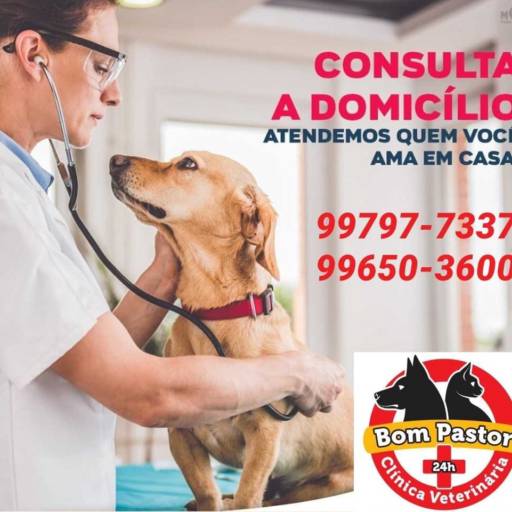 Consulta a Domicílio  por Clínica Veterinária Bom Pastor - Loja 1