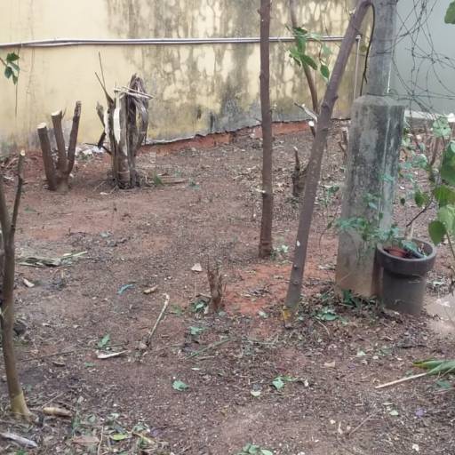 Limpeza de Terreno por Luís Antonio Jardinagem e Limpeza de Terreno 