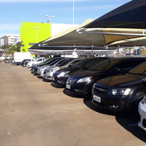 Comprar o produto de Carros em Renault pela empresa Proeste Renault em Marília, SP por Solutudo