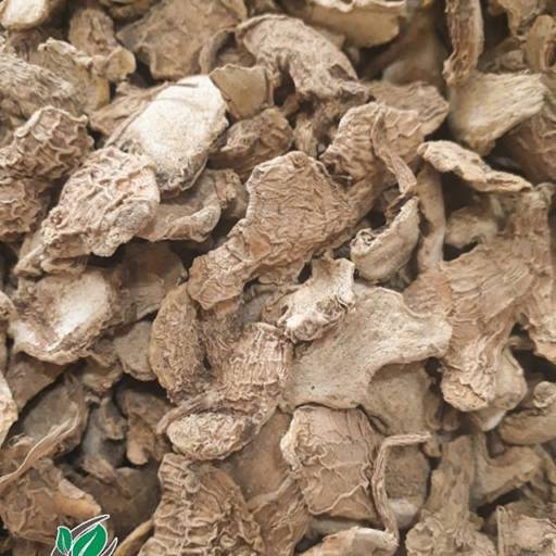 Gengibre Raiz Seca por Mercearia Alimentos Naturais
