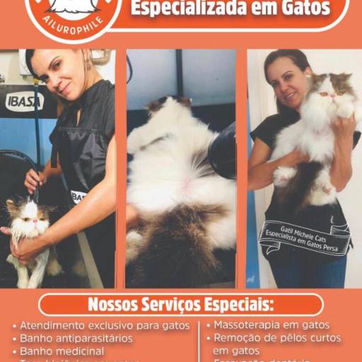 Comprar o produto de Banho e Estética Especializada em Gatos  em Pet Shop pela empresa São Francisco Petshop em Jundiaí, SP por Solutudo