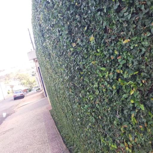 Poda por Luís Antonio Jardinagem e Limpeza de Terreno 