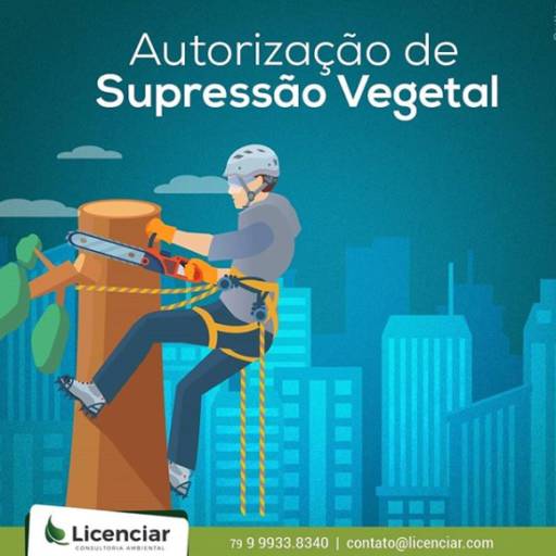 Comprar o produto de Supressão Vegetal em Outros Serviços pela empresa Licenciar Consultoria Ambiental em Aracaju, SE por Solutudo