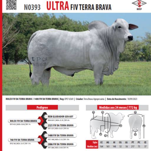 Touro Nelore Ultra FIV Terra Brava (N0393)