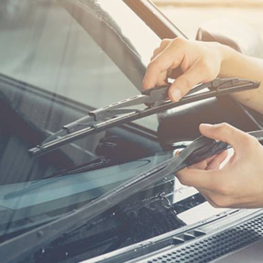 Palhetas  por Oficina Mecanicar 