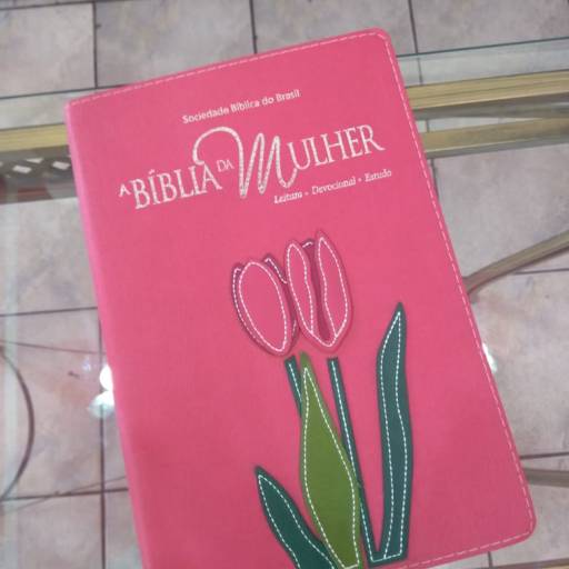 Comprar o produto de Bíblia Mulher em Bíblias pela empresa Livraria Evangélica Boas Novas em Araçatuba, SP por Solutudo
