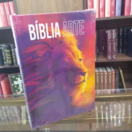 Bíblia Para Jovens por Livraria Evangélica Boas Novas