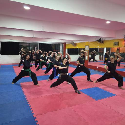 Aulas de Kung-fu em Osasco, SP