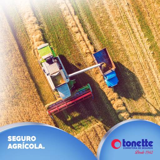Comprar o produto de Seguro Agrícola em Seguros pela empresa Tonette Corretora de Seguros em Birigui, SP por Solutudo