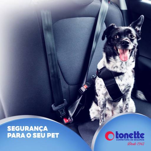 Comprar o produto de Segurança Para Seu Pet em Veículos e Transportes pela empresa Tonette Corretora de Seguros em Birigui, SP por Solutudo