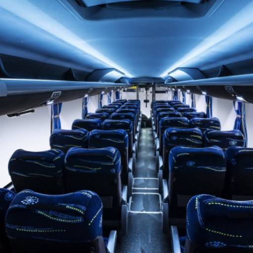 Ônibus Executivo Modelo DD de 48 a 64 Lugares por Barreto Turismo