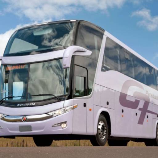 Ônibus Executivo Modelo LD de 42 e 44 Lugares por Barreto Turismo