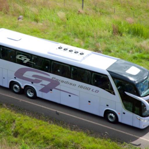 Ônibus Executivo Modelo LD de 42 e 44 Lugares por Barreto Turismo